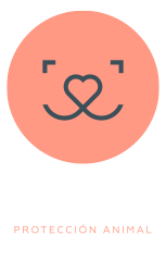 adopta@hoope.org